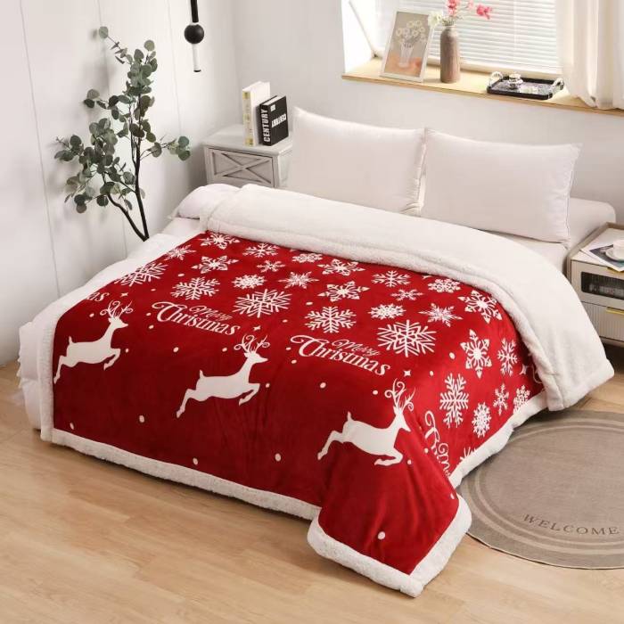 PATURI DE CRACIUN CU BLANITA