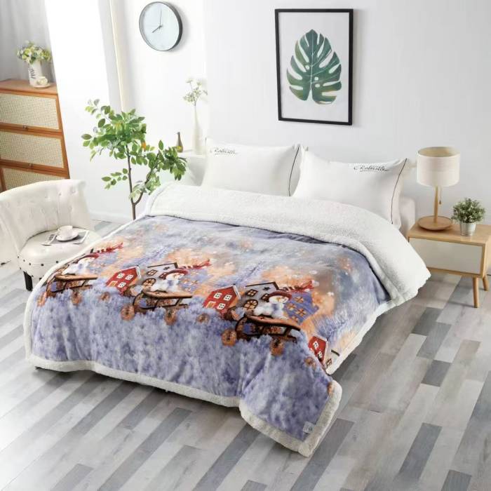 PATURI DE CRACIUN CU BLANITA