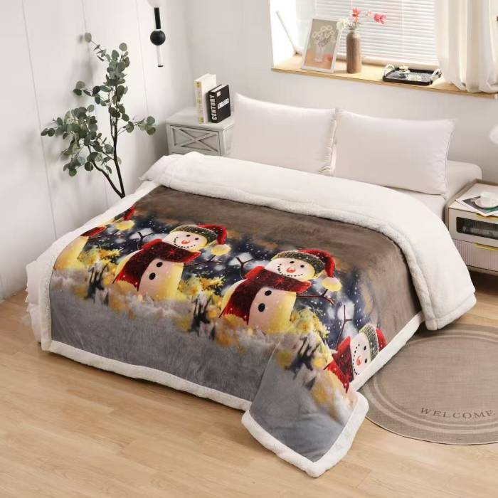 PATURI DE CRACIUN CU BLANITA